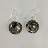 Spiral Abalone Set of Earrings and Pendant